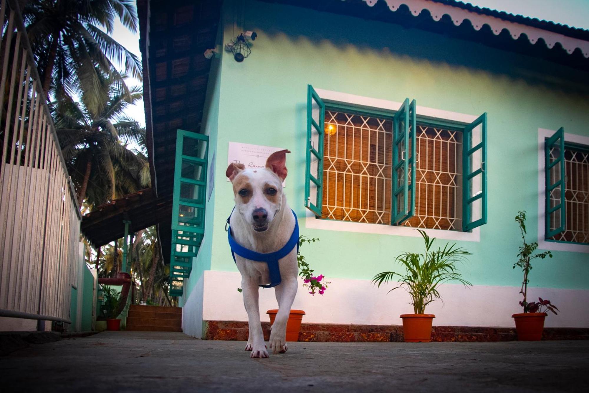 The Bungalow Bogmalo An 1880 Indo Portuguese Heritage Beach Villa South Goa Extérieur photo